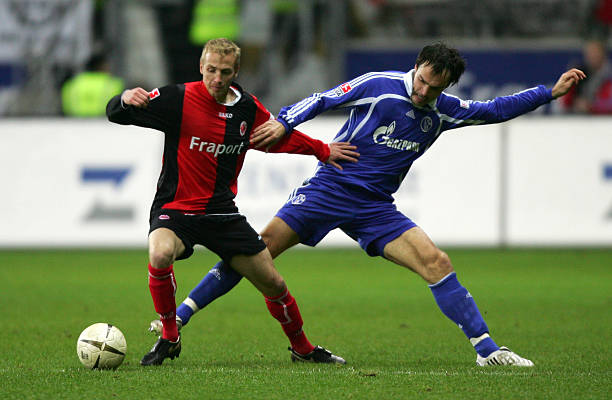 析了印度组 析了印度组