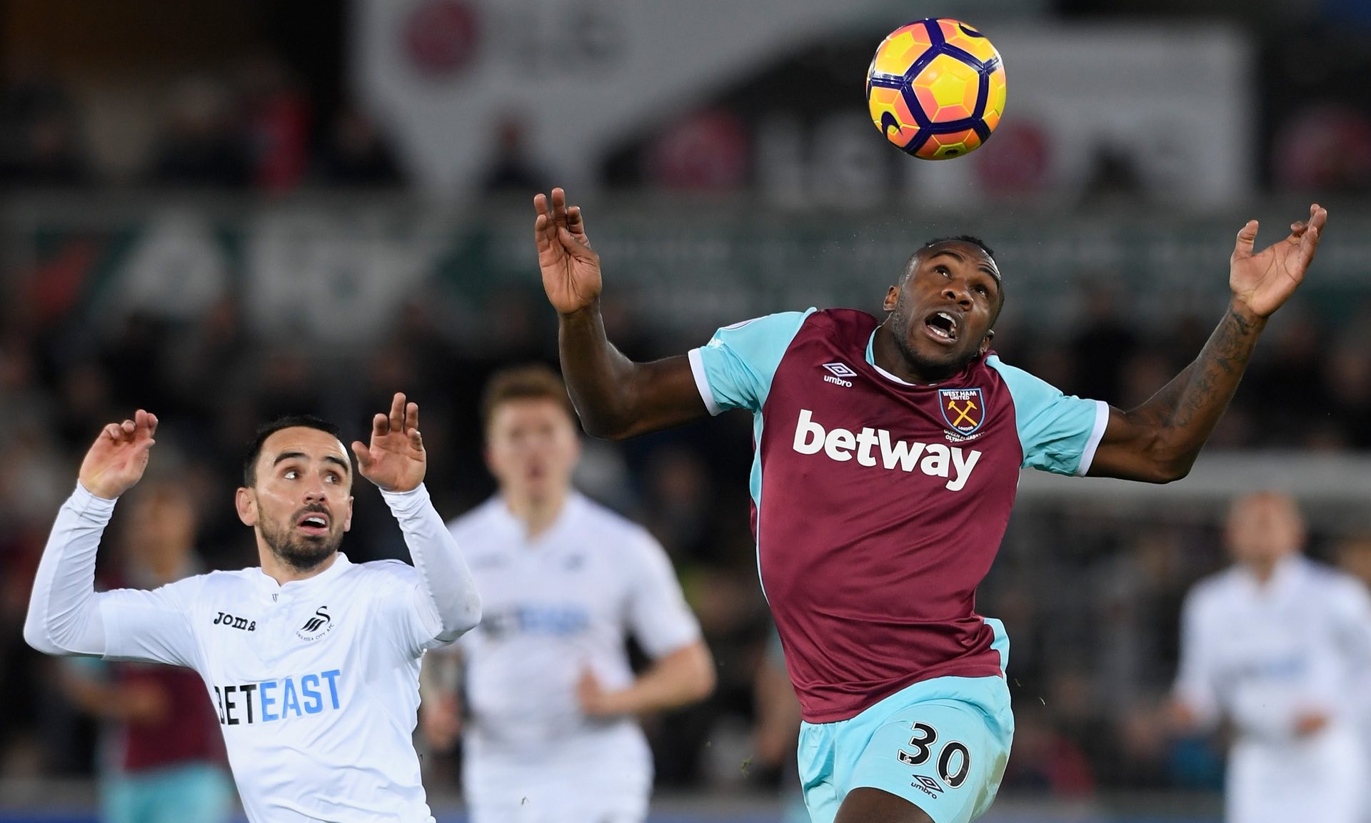 阿坎吉的冷 阿坎吉的冷