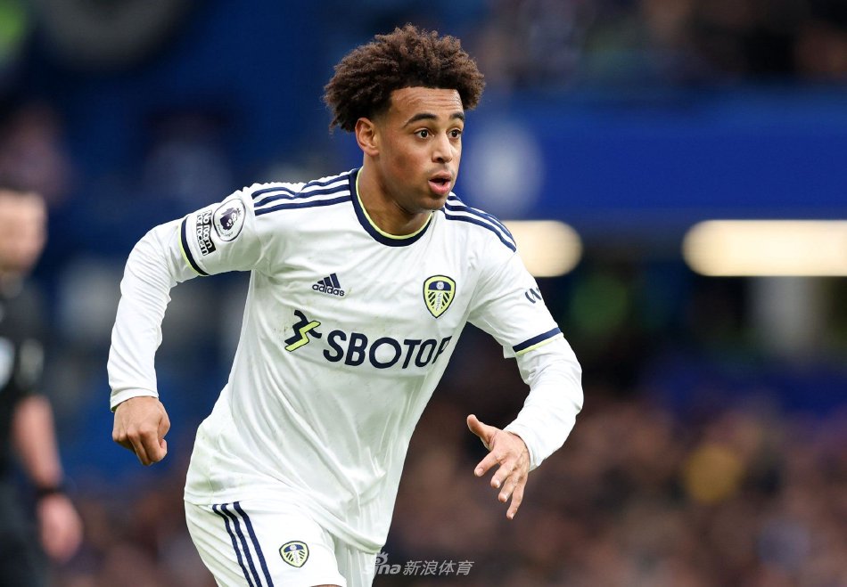 练的结果 练的结果